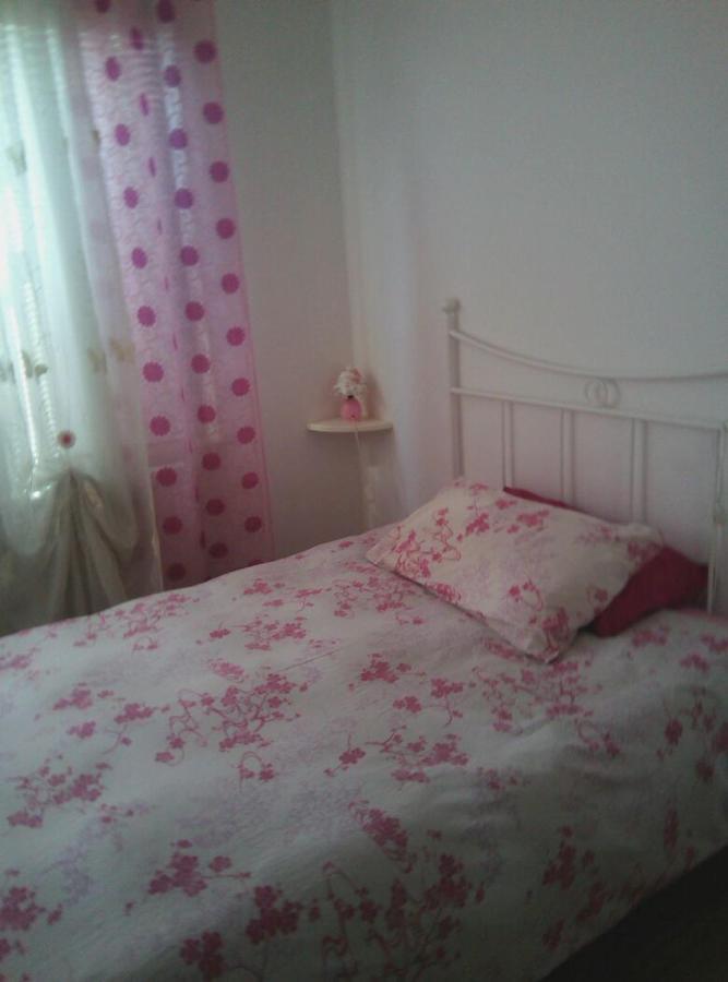 카바초 카르니코 A Li' Dal Cuac B&B 외부 사진